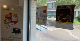 Eni Energy Store